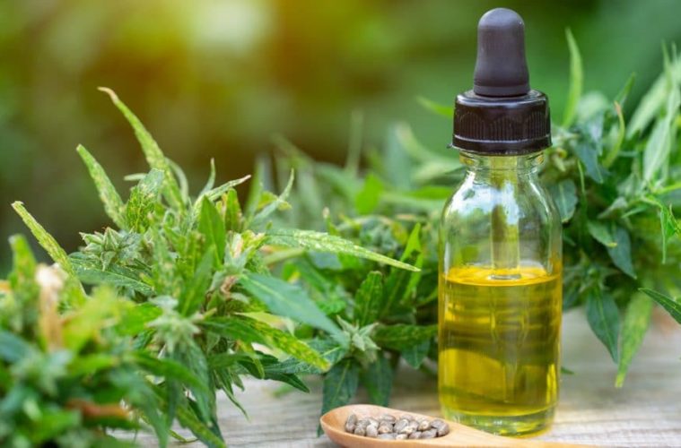 CBD Might Not Cause You To Fail a Drug Test, But CBN Might 38 cbd might not cause you to fail a drug test but cbn might 1068x580 1