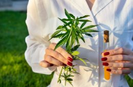 fda guidance on cannabis research a glimpse of whats to come for cbd products
