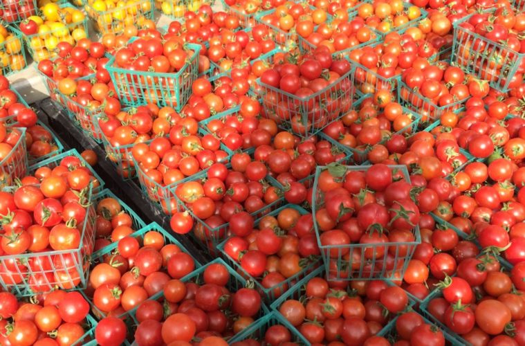 How Food Synergy Helps Us Fight Free Radicals 38 Tomatoes Michele Stueven