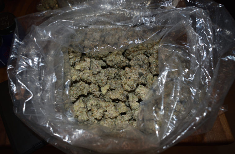 Tracking The Cannabis Sales Data of 4/20 2021 38 figtourDSC 0212 027