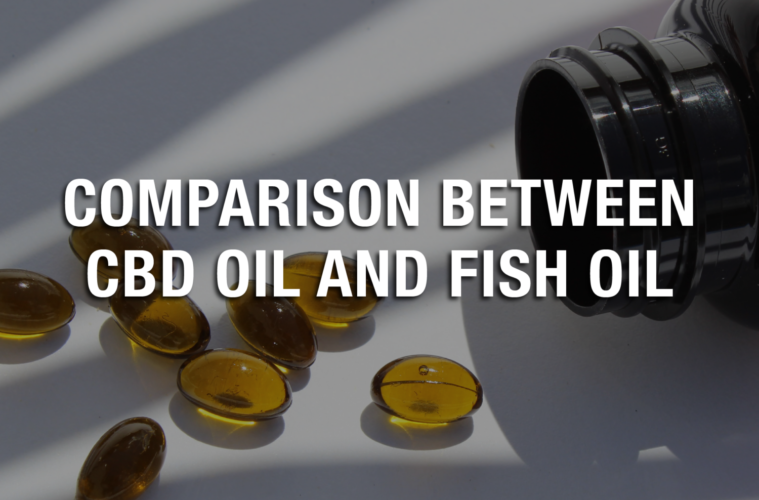 Comparison Between CBD Oil and Fish Oil 38 07 Sunday Image Trusted Hemp Extract 1