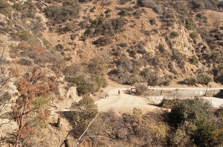 1024px Runyon Canyon east trail from above