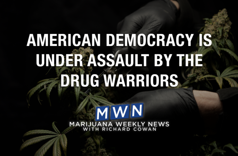 American Democracy Is Under Assault by the Drug Warriors 38 Screen Shot 2021 05 13 at 7.12.05 PM
