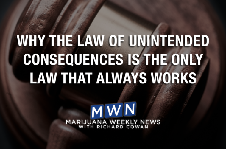Why The Law of Unintended Consequences Is the Only Law That Always Works 38 Screen Shot 2021 05 27 at 6.47.02 PM