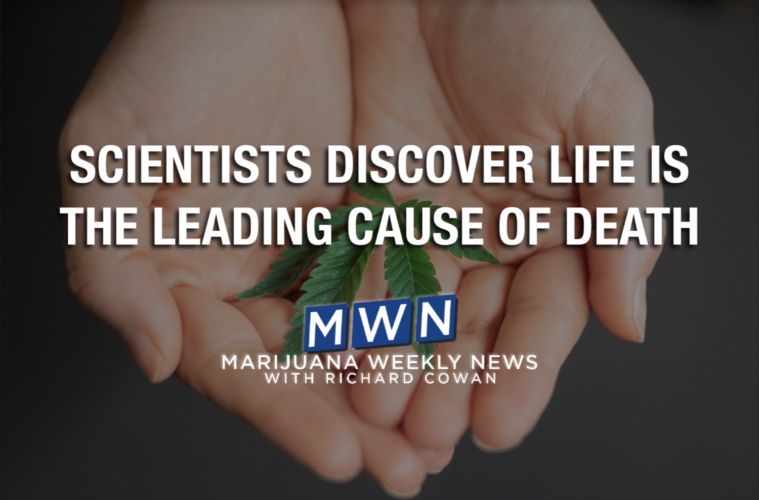 Scientists Discover Life Is The Leading Cause of Death 38 Screen Shot 2021 06 03 at 4.29.18 PM