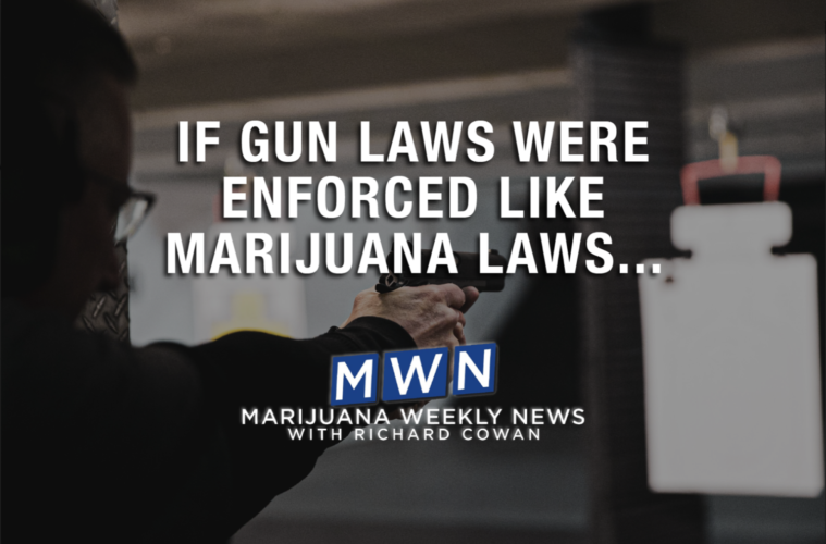 If Gun Laws Were Enforced Like Marijuana Laws... 38 Screen Shot 2021 06 09 at 4.04.36 PM
