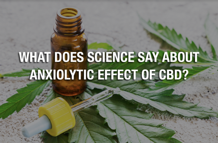 What Does Science Say About Anxiolytic Effect Of CBD? 38 Screen Shot 2021 06 09 at 4.09.20 PM