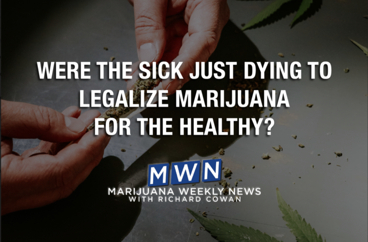 Were The Sick Just Dying to Legalize Marijuana for the Healthy? 38 Screen Shot 2021 06 18 at 8.24.27 AM