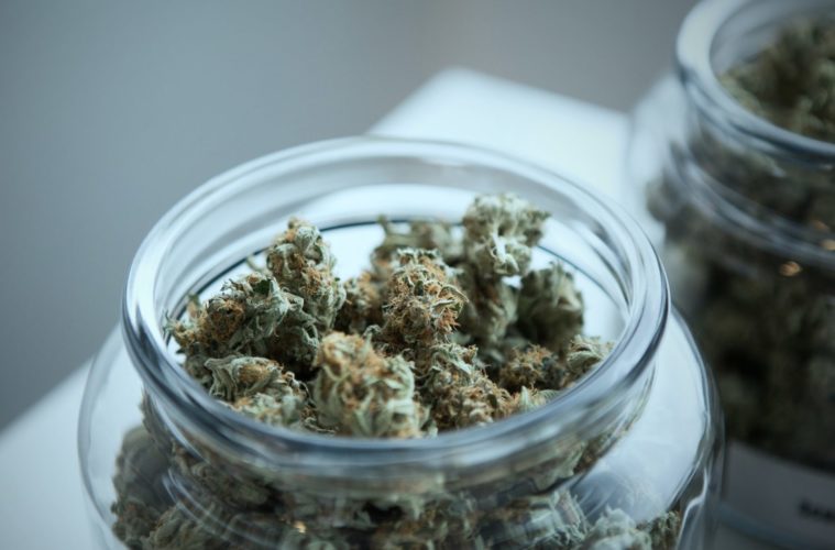 add weed CfSkoM Wb9c unsplash