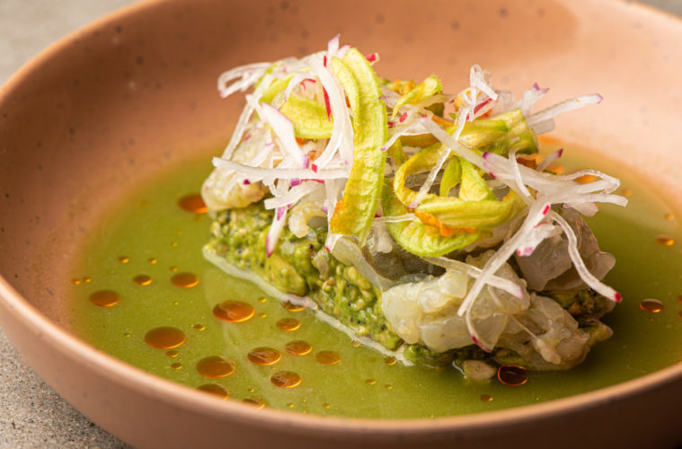 Agua Chile de Shrimp avocado pepitas squash blossoms wild cilantro radish. BarCalo 020
