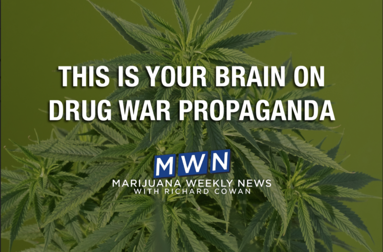 This Is Your Brain on Drug War Propaganda 38 Screen Shot 2021 07 08 at 3.03.53 PM