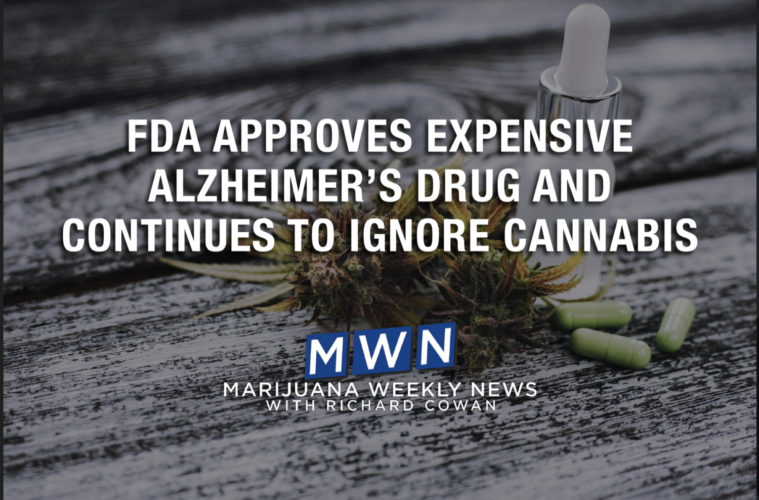 FDA Approves Expensive Alzheimer’s Drug And Continues To Ignore Cannabis 38 Screen Shot 2021 07 16 at 5.10.07 PM