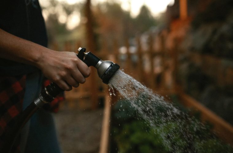 Newsom Signs Order Asking Californians To Cut Water Usage By 15% 38 kyle barr watering plant unsplash