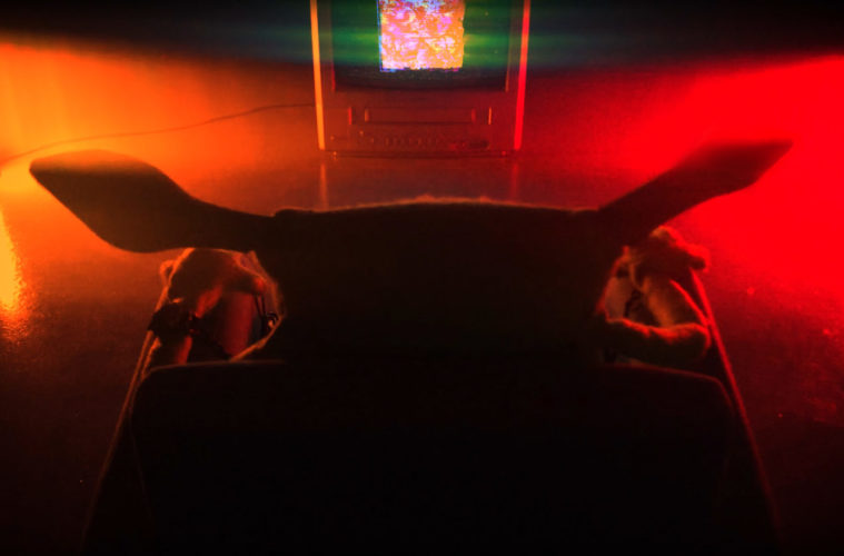 Get Reckless with Feed Me 38 Get Reckless with Feed Me