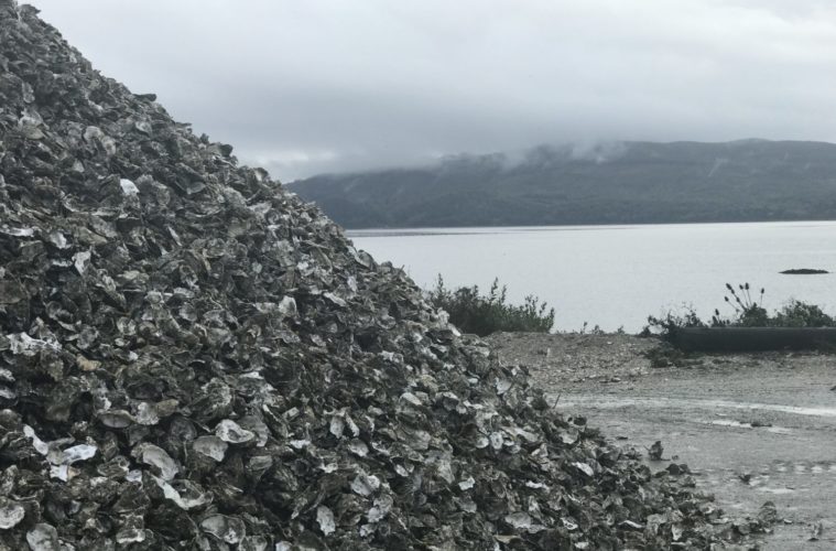 OP-ED: Climate change is threatening our supply of fish. To save seafood, we’ll need to grow it sustainably. 38 IMG 6723