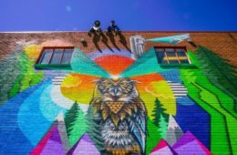 TGS Montview Mural 1 scaled e1628724626381