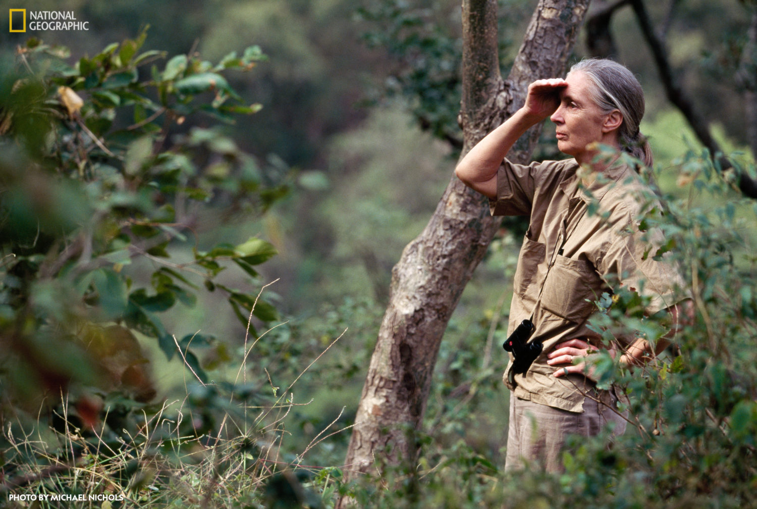 10 Jane Goodall 397578 credit Michael Nichols National Geographic