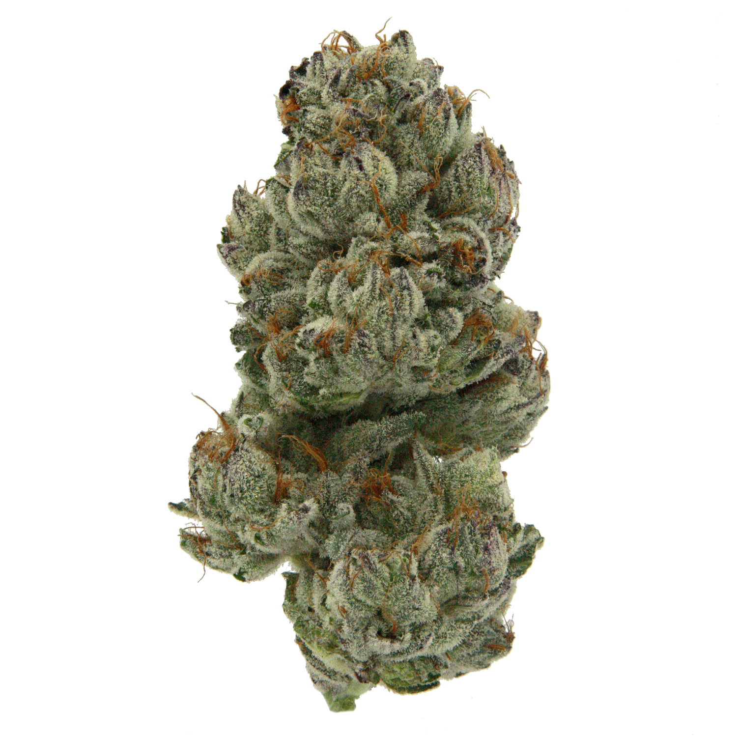 The Garden Glance: Curated Cannabis 44 6. Profile Cherry Cheesecake