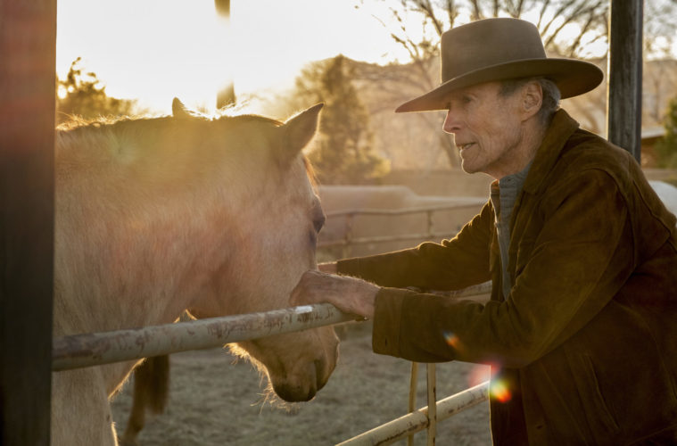 Clint Eastwood Climbs Back in the Saddle for <i>Cry Macho</i> 38 Cry Macho