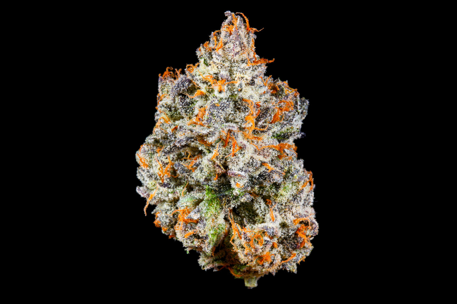 Connected Premiers New Strain Pantera Limone 39 Pantera Limone nug