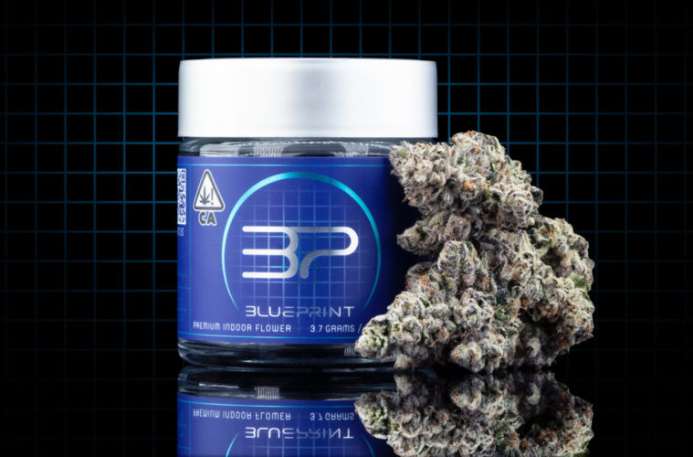 Blueprint is The Most Exciting Cannabis Launch of Summer 38 image6