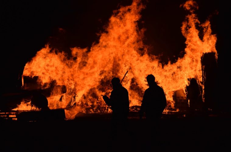 Pot Farms Push Through Another Year of Fire and Smoke 38 issy bailey tEIHSmfwznM unsplash