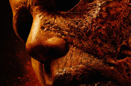 Halloween KIlls (Review)