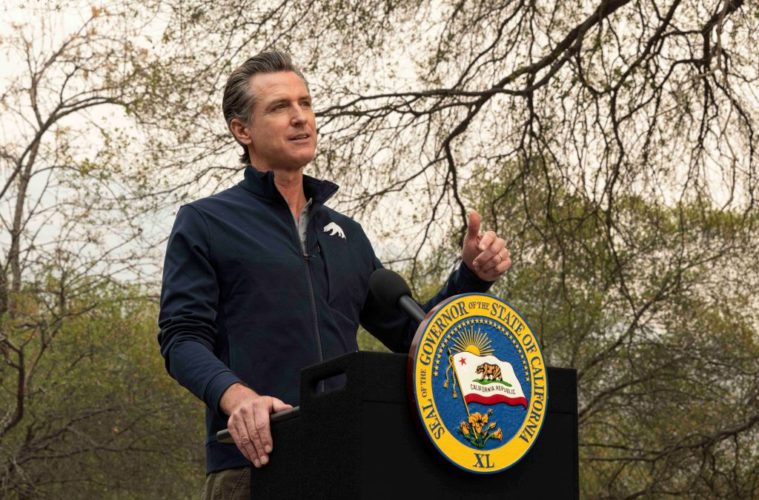SB37 Ends Mandatory Minimums for Nonviolent Drug Crimes 38 bbjr seqoia natl forest 1024x683 1