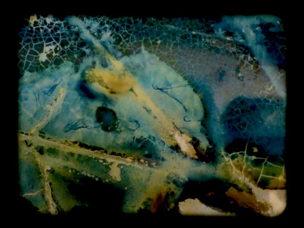Armory Kate Lain Water Mining Eaton Canyon 2021. Video still. Cyanotype and plant material on 16mm film recorded and finished digitally. Color sound. 5 minutes 10 seconds. Courtesy of the artist.