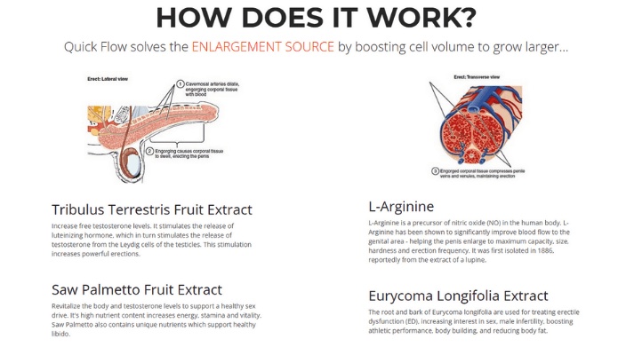 How Does Quick Flow Male Enhancement Work