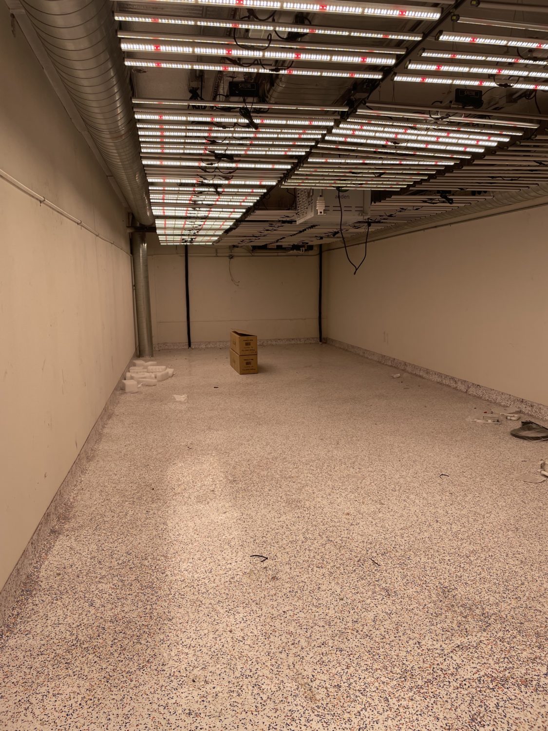 The Garden Glance: Cali-X 39 Pheno Hunting Room Progress