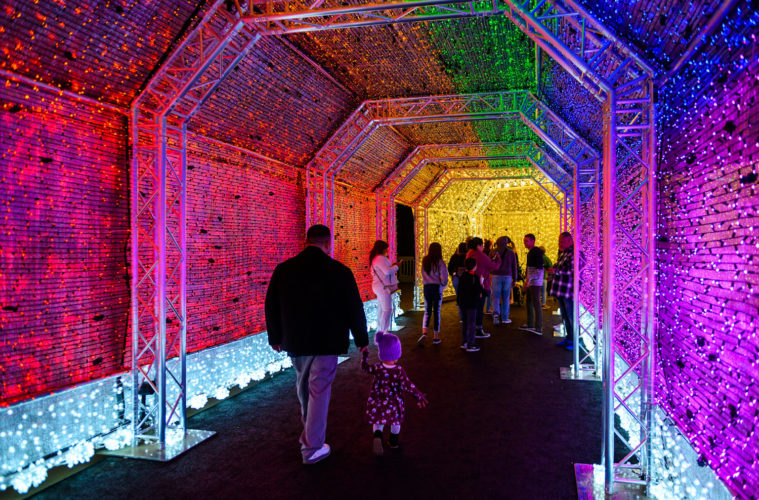 Light Bright: A Guide to Immersive L.A. Christmas Attractions 38 082 ZooLights19 Jamie Pham