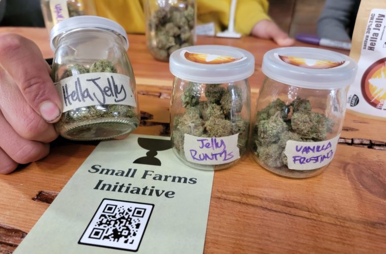 Emerald Cup Responds to Harvest Ball DCC Enforcement 38 20211212 120122