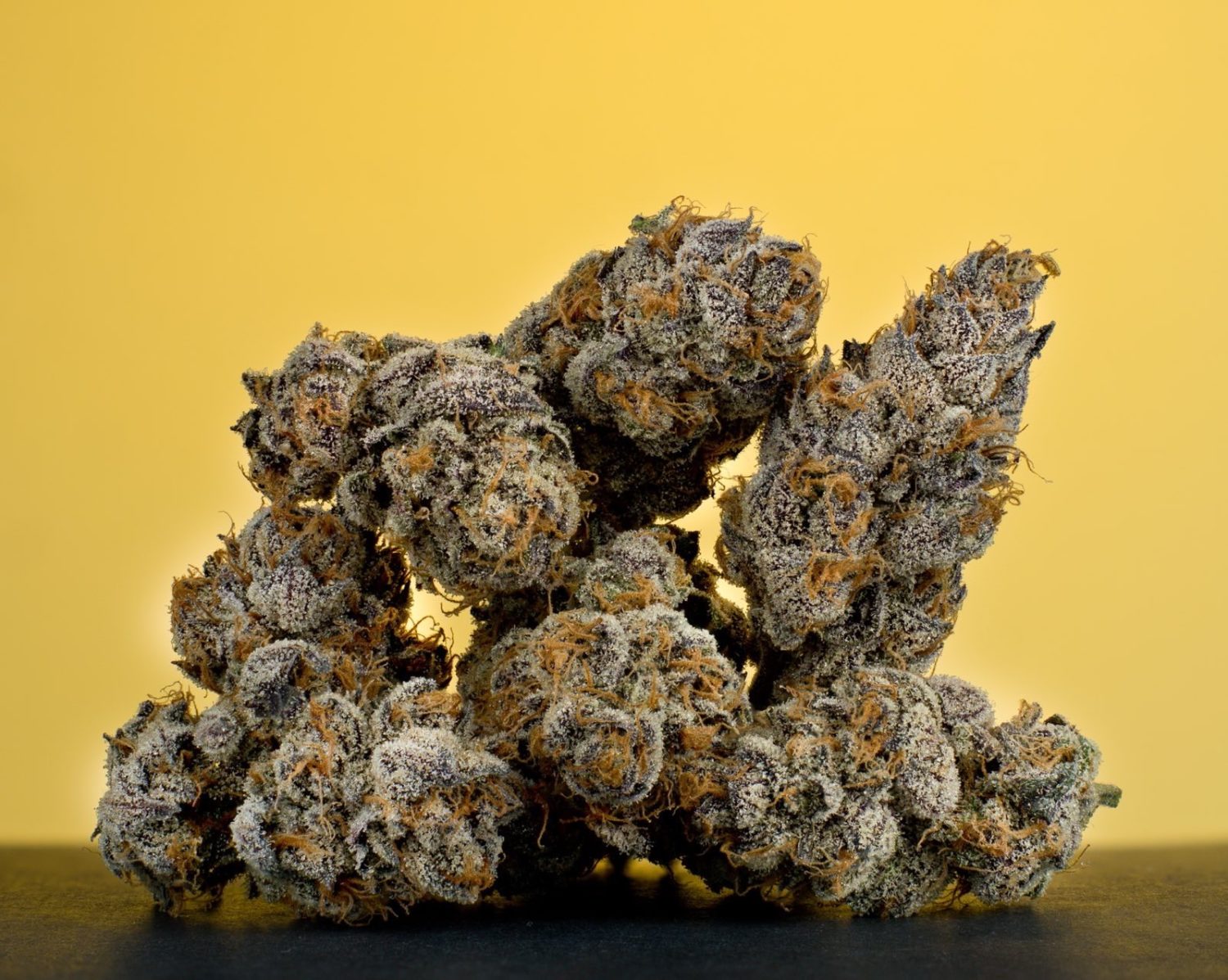 The 12 Strains of Christmas 2021 47 redbullz