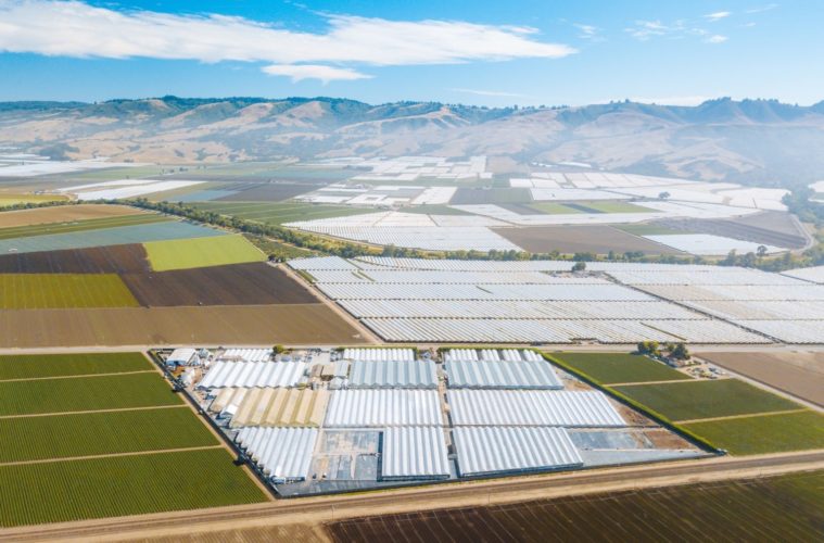 California’s Cultivation Tax Hike Hits Pot 38 Birdseye View