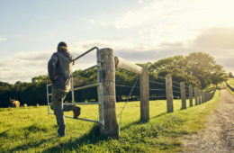 cattle farmer e1643233327542