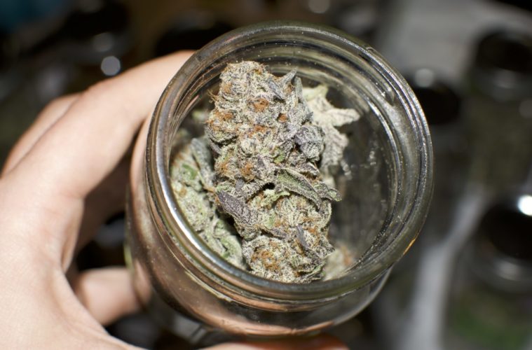 Dueling Visions for Pot Taxes Hit Sacramento 38 SnowtillICC