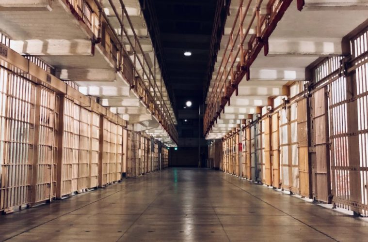 New Bill Would Refelonize More Than 6 Pot Plants 38 carles rabada gwwWhABtohs unsplash