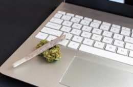 weed laptop e1643745082144