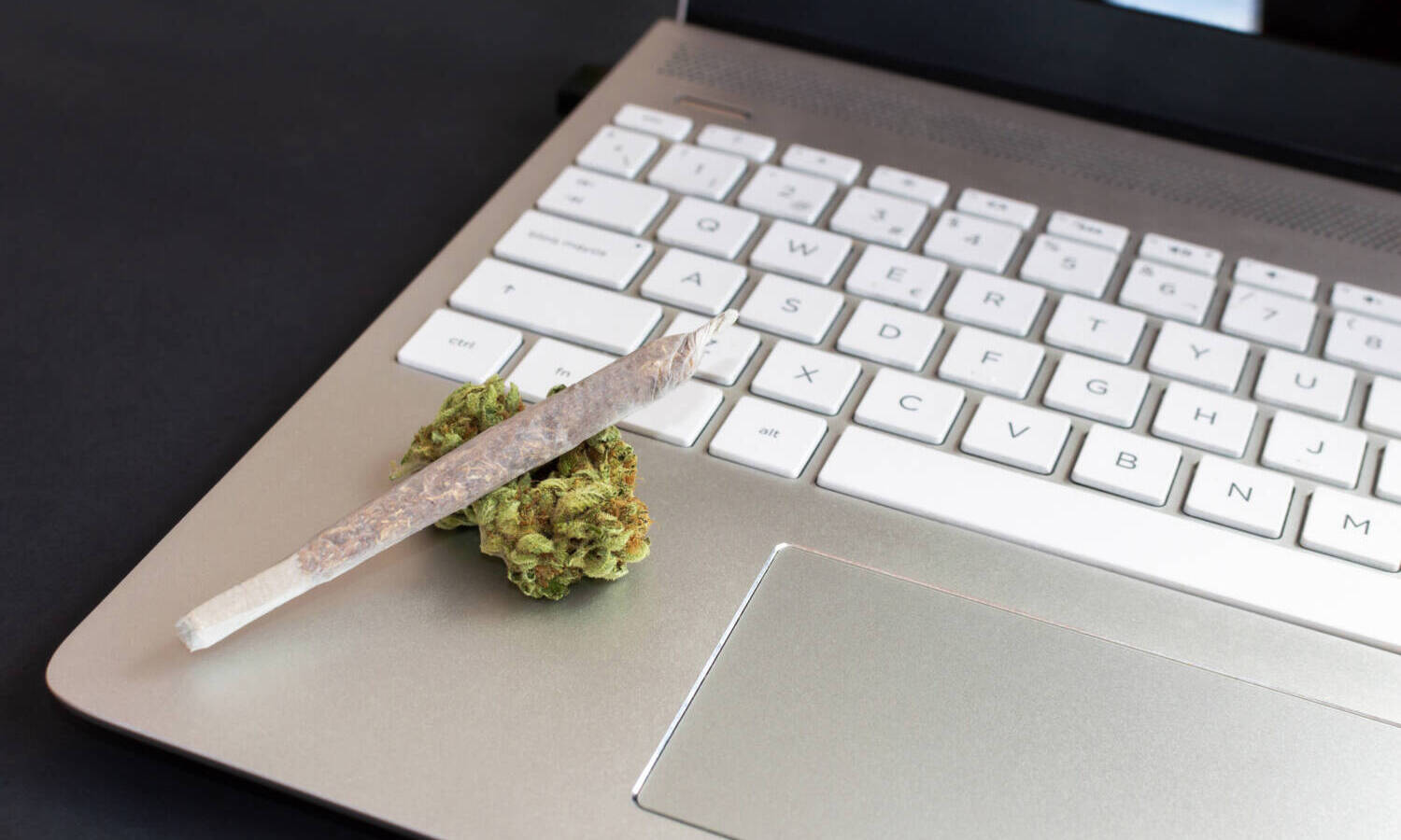 weed laptop e1643745082144