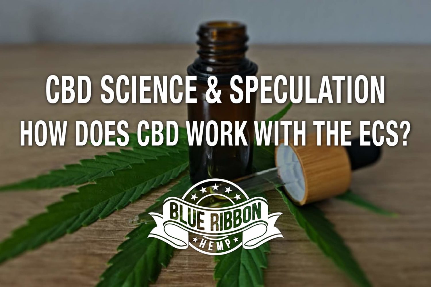 CBD Science & Speculation — How Does CBD Work With the ECS? – LA Weekly