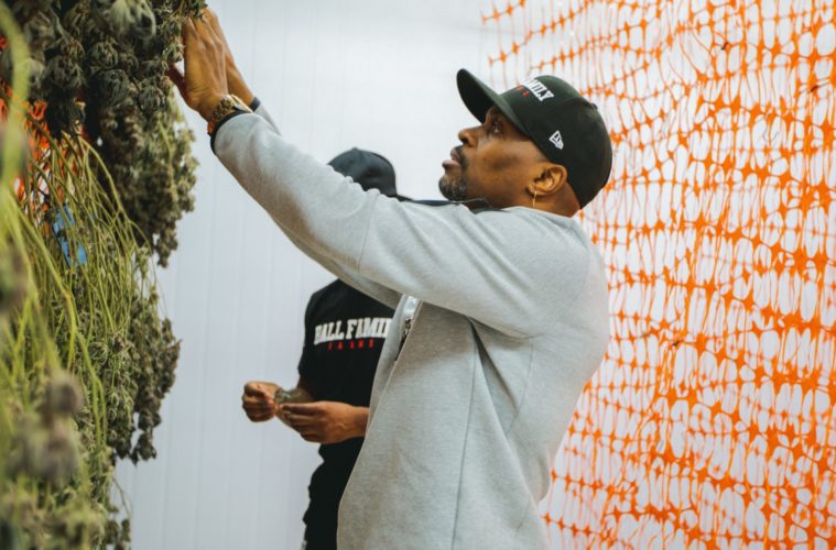 LA's Original Equity Farm Keeps The Heat Coming 38 BallHArvest