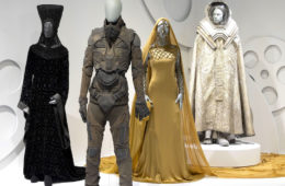 DUNE FIDM
