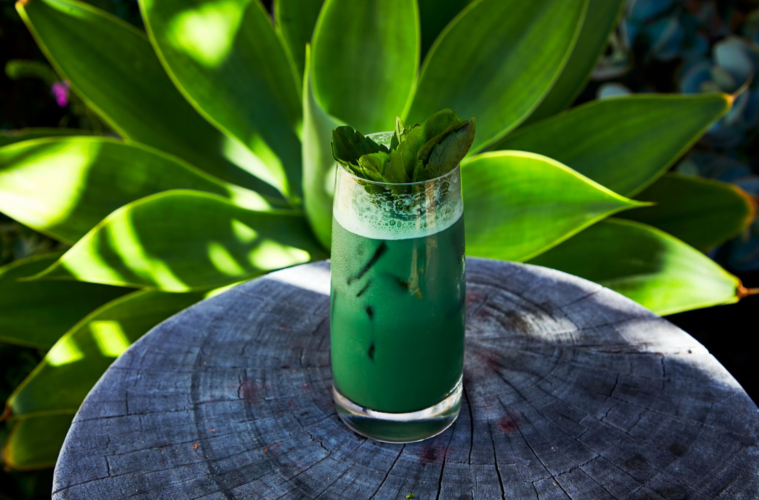 Seven Ways To Go Green On St. Patrick’s Day 38 St. Patick's Day