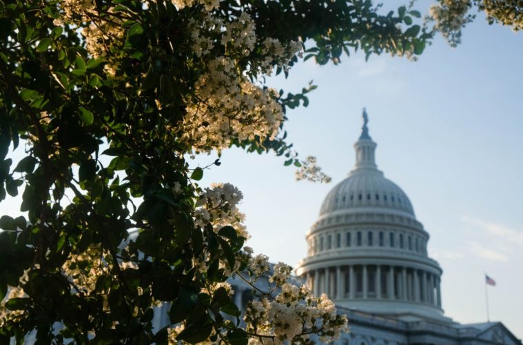 Blumenauer: Keep Cannabis Banking in COMPETES Act 38 sara cottle 4cuWs9EAo2U unsplash