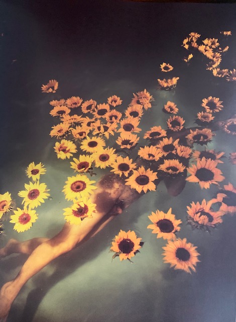 Alexis Rodriguez Duarte Dreams of Sunflowers Sueños de Girasoles from Naked Flowers Exposed HarperCollins