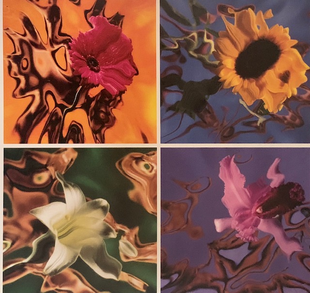 Mark Gerhardt Squires Floral Nudes from Naked Flowers Exposed HarperCollins