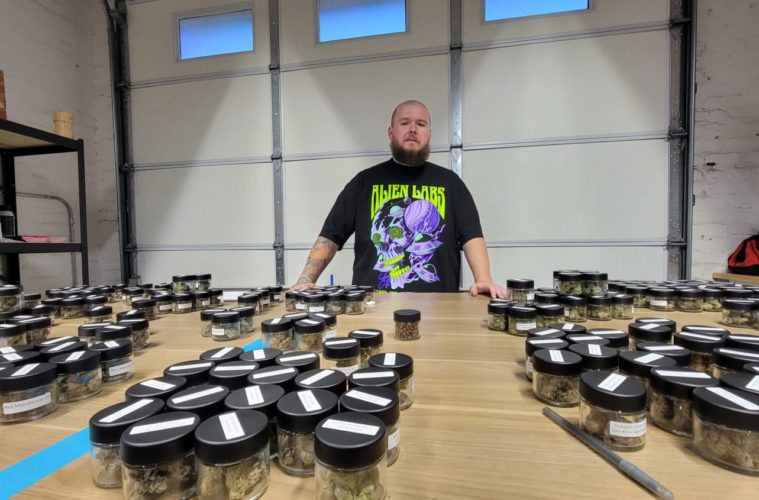 Alien Labs Abducts the Hype with Latest Pheno Hunts 38 20220629 145609
