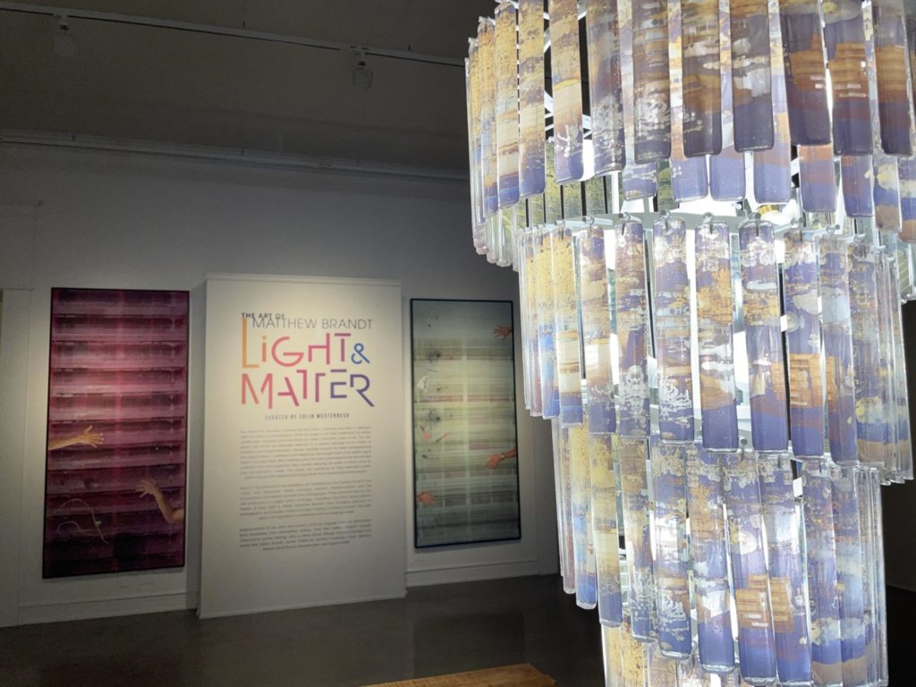 Light and Matter Install 1 courtesy of Forest Lawn Museum