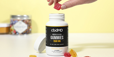 4 5 5 Benefits to High Strength CBD Gummies copy Additional Article Images